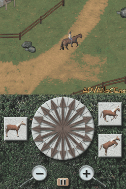 Paws & Claws Pet Vet screenshot 3 for Nintendo DS